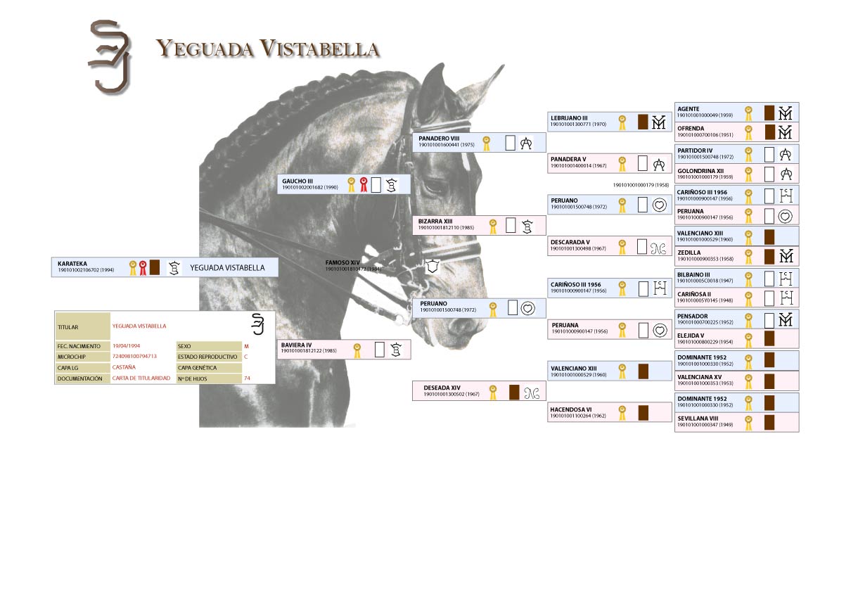 Arbol genealogico de Karateka