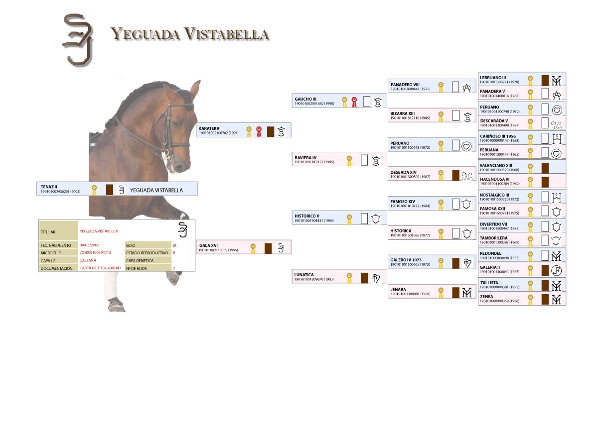 Carta genealogica de Tenaz II